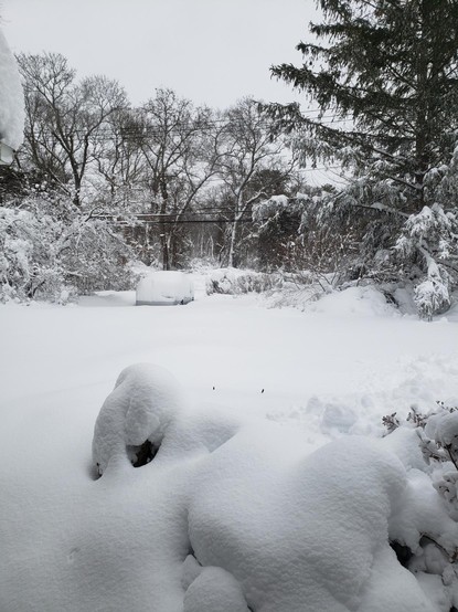 A car at the end of a driveway, completely covered with snow. It's all snow. Colorado, come get your snowpack.